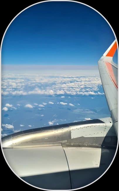 Plane Wing View
